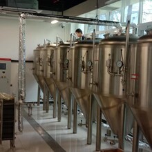 匠心釀造，品味非凡 山東德朗機械制造引領自釀啤酒設備新潮流